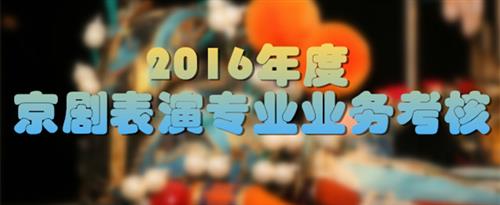 日老货激情视频国家京剧院2016年度京剧表演专业业务考...